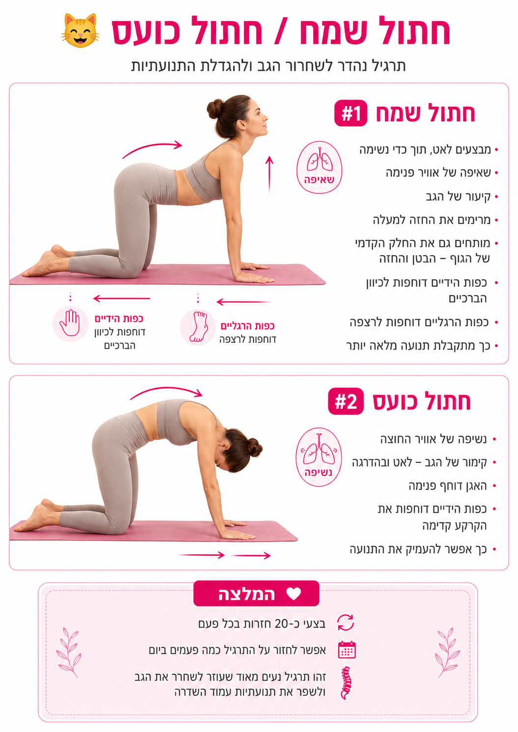 הדגמת תרגיל חתול שמח וחתול כועס